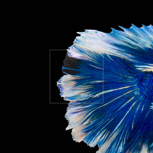 日本黑丝袜中文字幕
